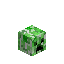 Cabeza de creeper